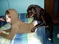 filme porno xxx cu animale caini