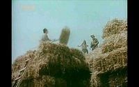 O vara cu Mara (1988) - SoDMaster - Filme Romanesti - Romanian Movies
